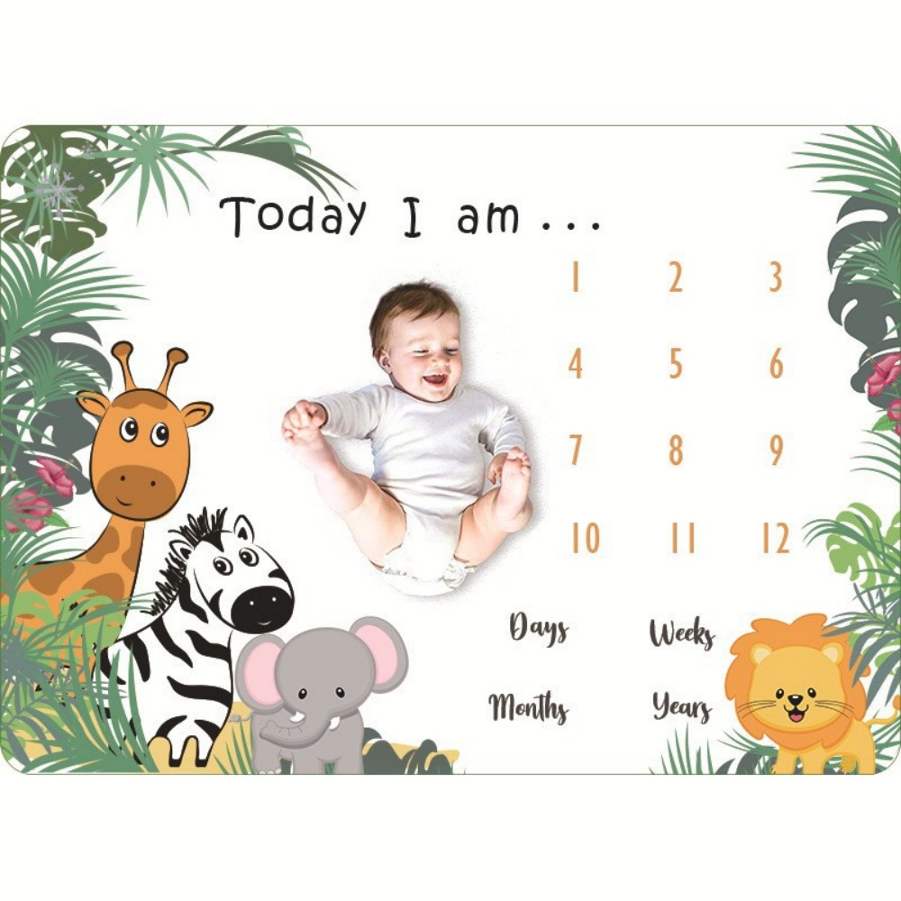 VIKAMA Children's Illustration - Photography Background 评论和价格