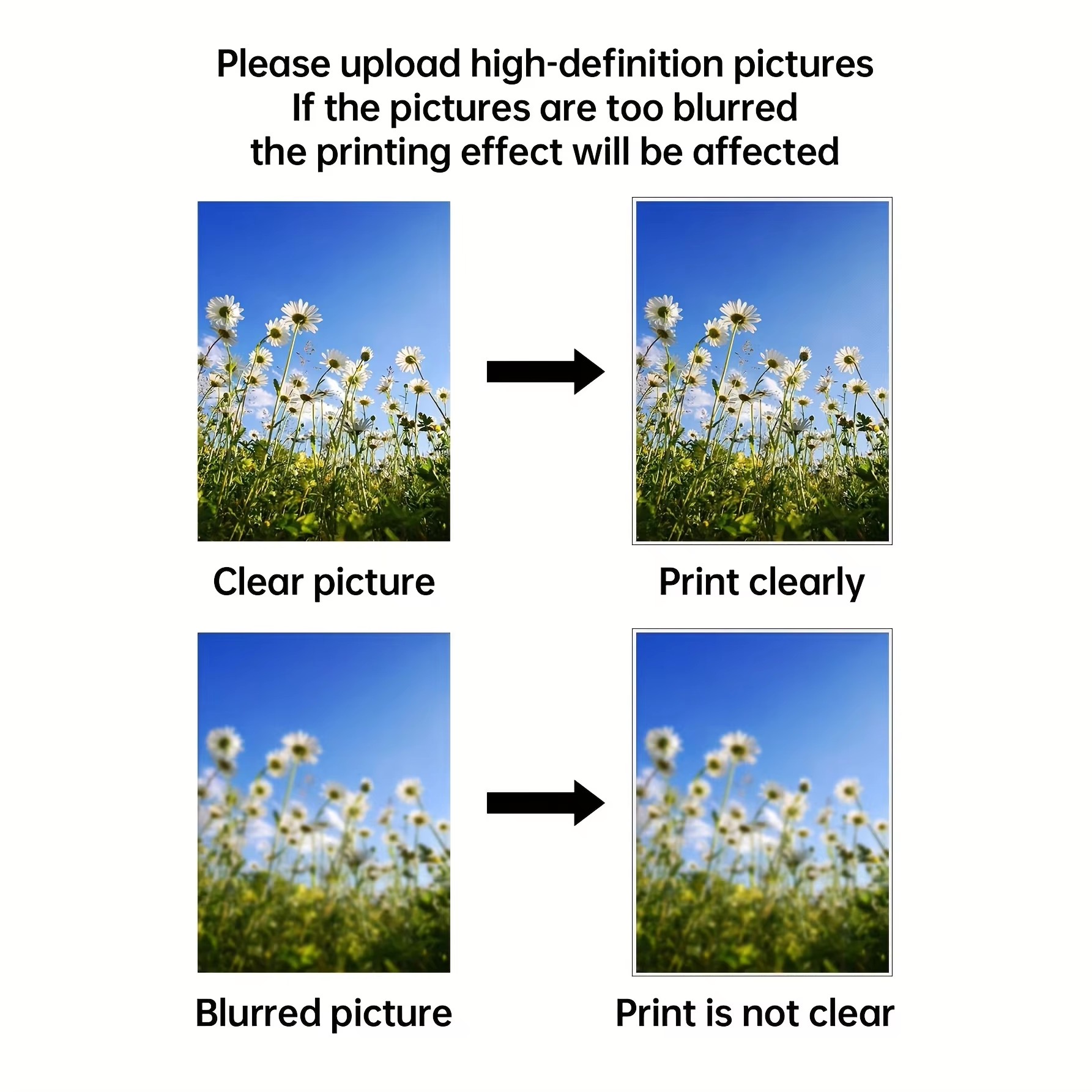 Custom Print Canvas Painting F - Photography Gallery 评论和价格