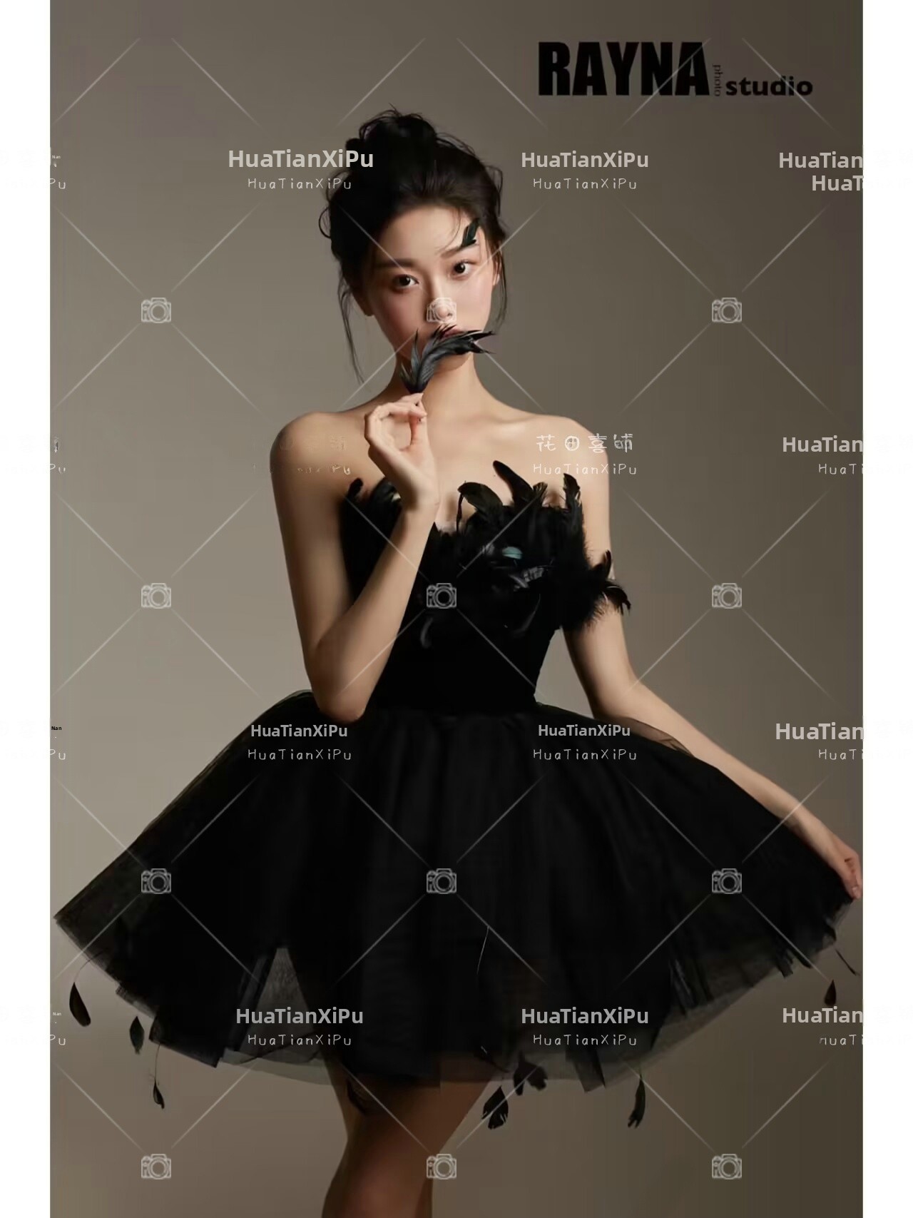 New Arrival Elegant Black Swan - Photography Studio 评论和价格