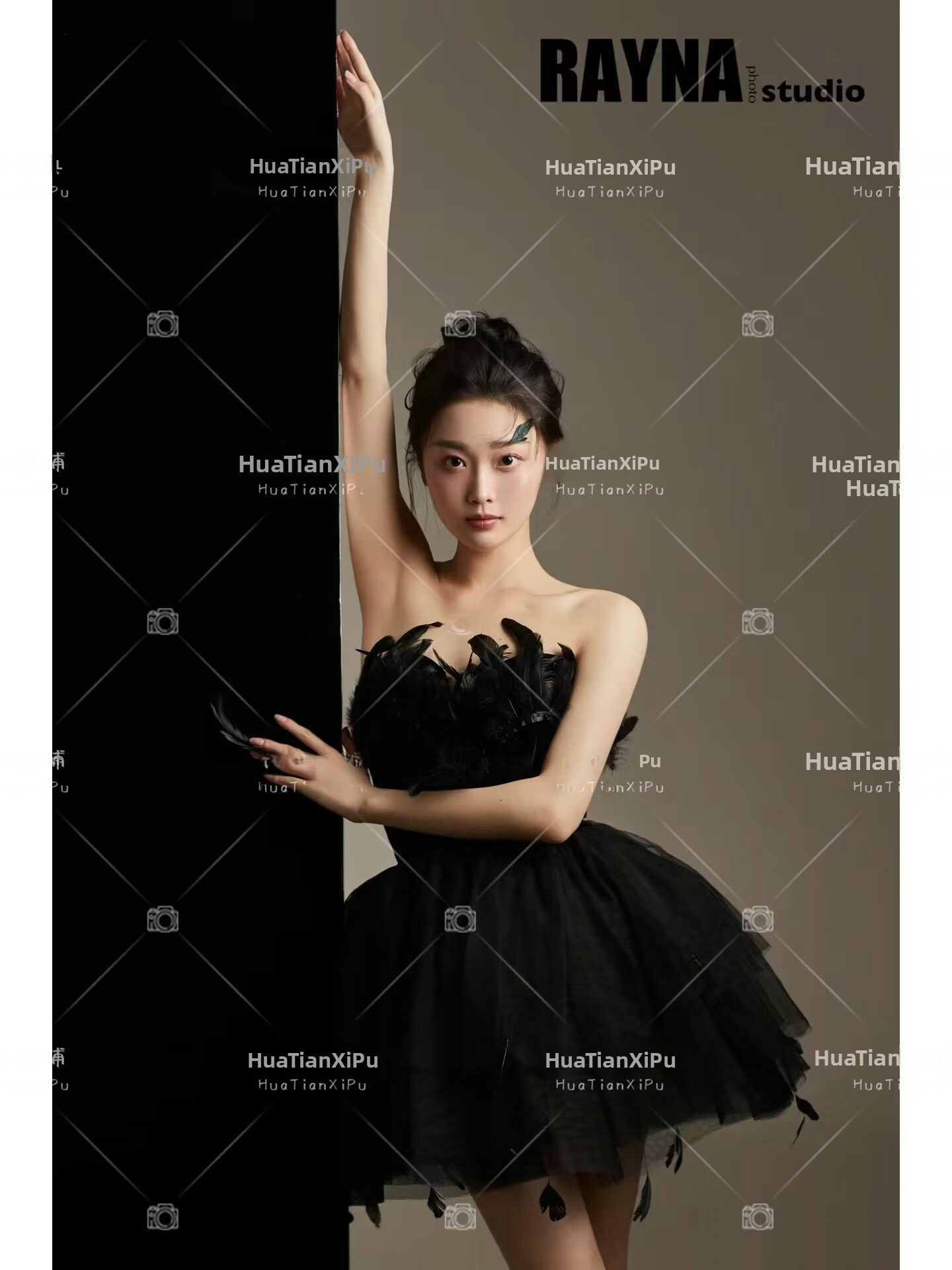 New Arrival Elegant Black Swan - Photography Studio 评论和价格