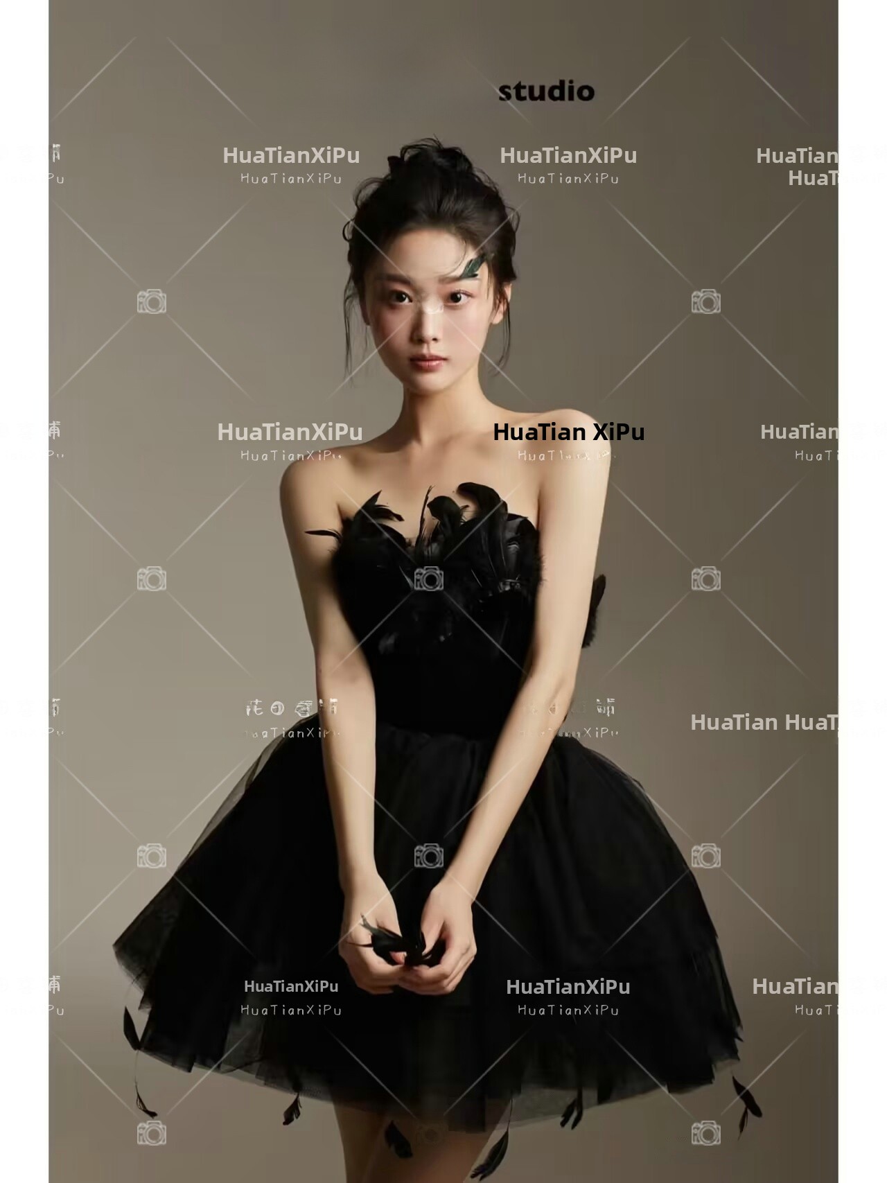 New Arrival Elegant Black Swan - Photography Studio 评论和价格