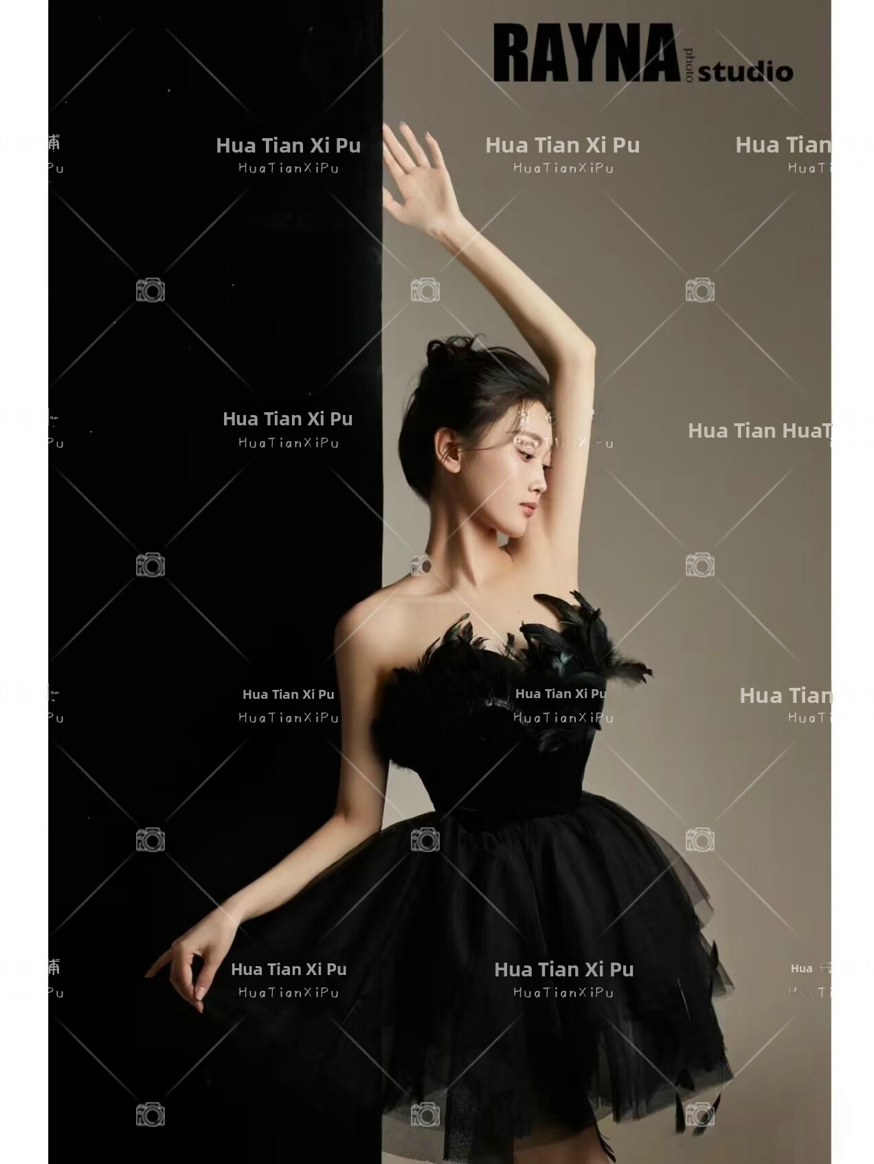 New Arrival Elegant Black Swan - Photography Studio 评论和价格
