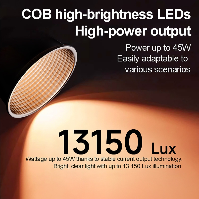 60W RGB Video Light Portable L - Photography Darkroom 评论和价格