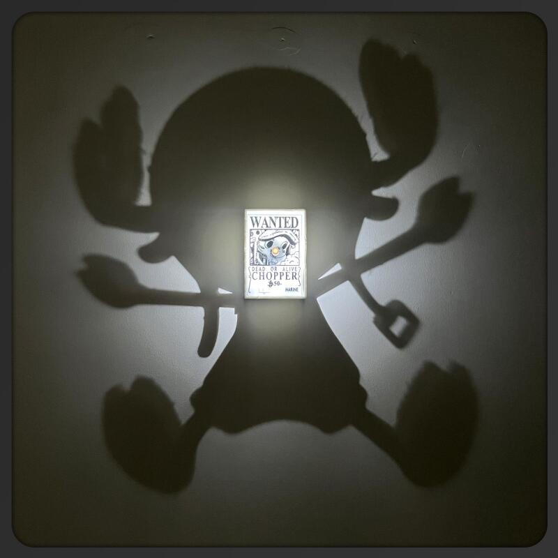 Cartoon Toy One Piece Light Sh - Photography Darkroom 评论和价格